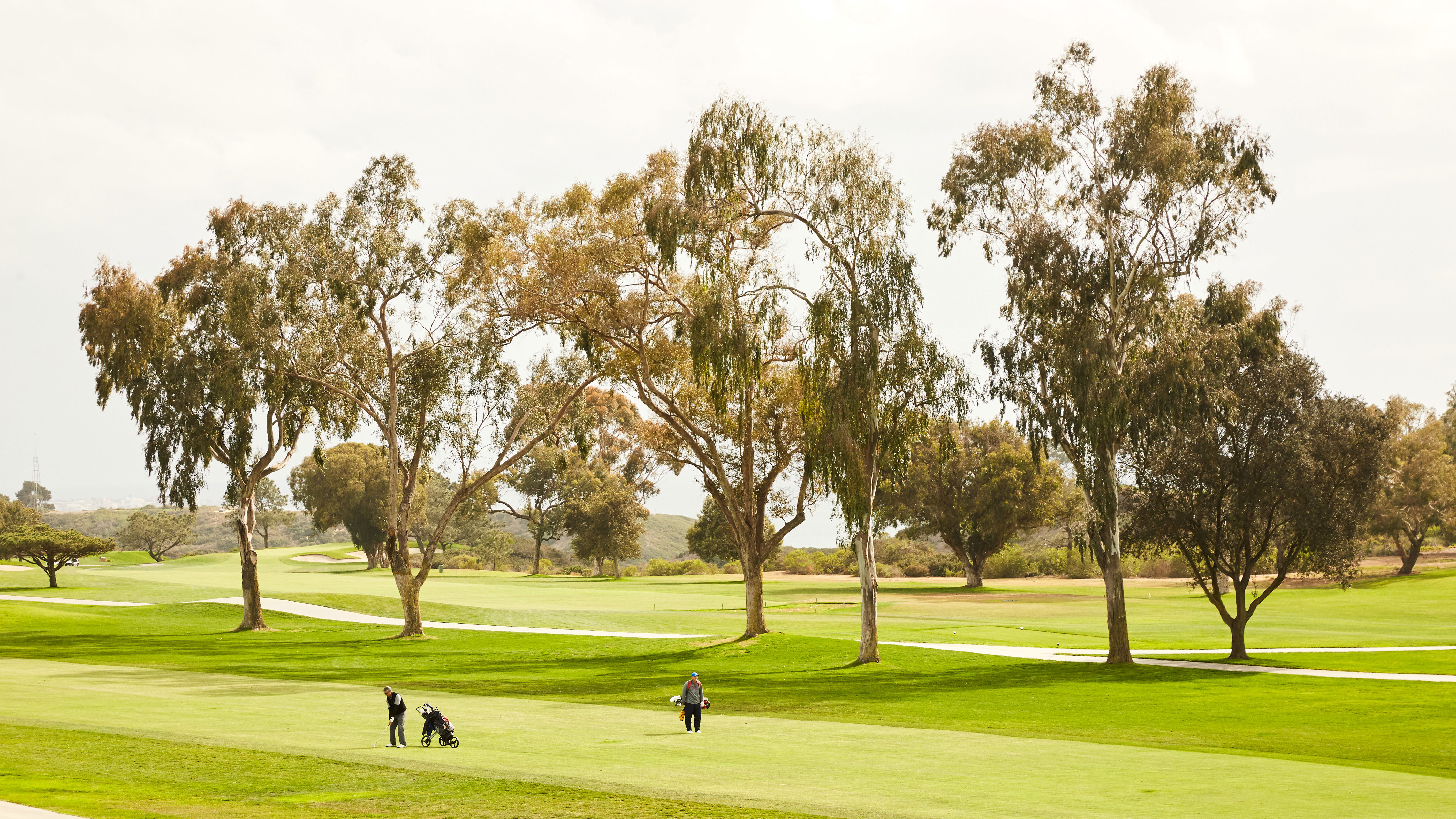 The BEST PGA Tour beach destinations and championship courses YOU CAN PLAY